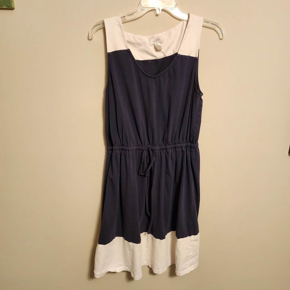 Chic Navy and White Sleeveless Dress